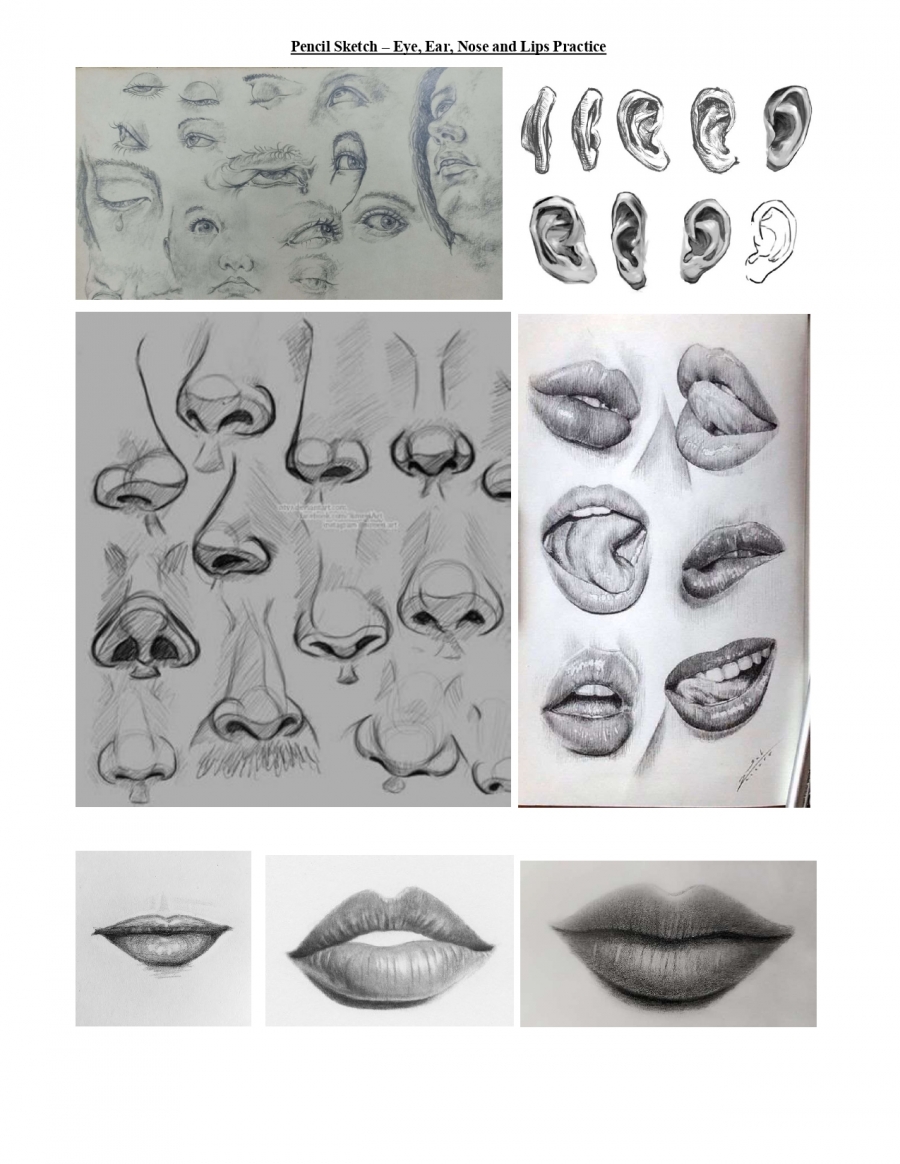 Learn Drawing and Painting